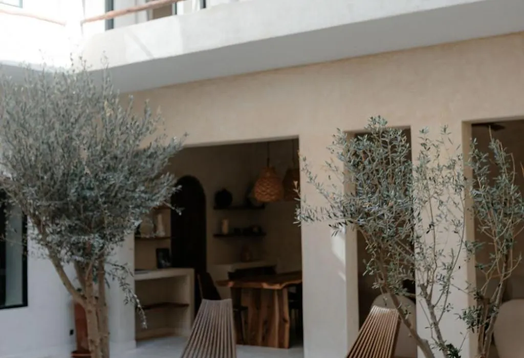 Riad Roca-1