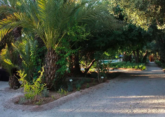 Jnane Tamsna Hotel Marrakesh